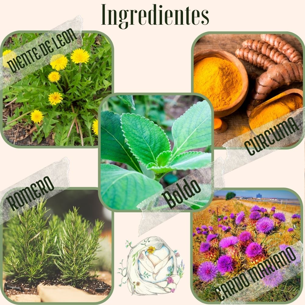 infusión plantas medicinales.mezcla de plantas , útiles para reducir el colesterol y los triglicéridos, especial infusiones (200gramos)