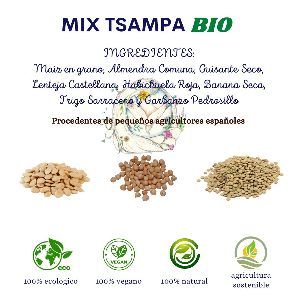 sampa alimento energético para deporte y vida sana, esta comida es conocida también como tsampa bio